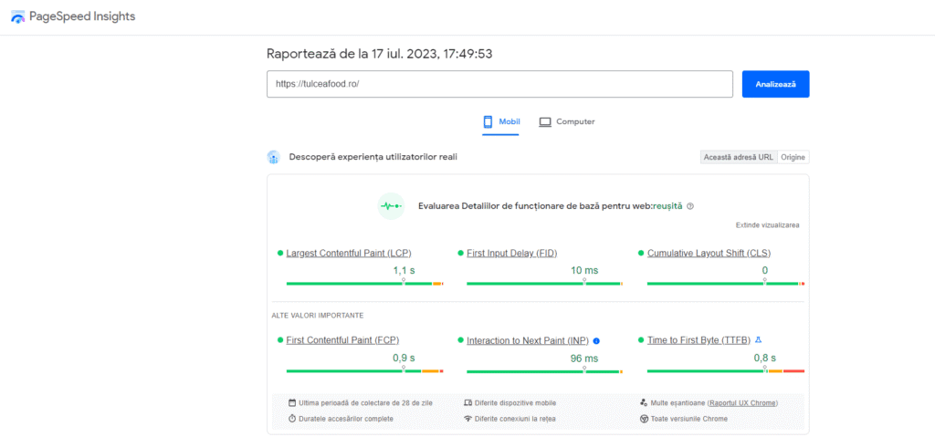 optimizarea site audit viteză 