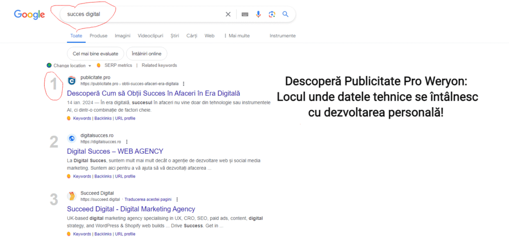 despre succesul digital