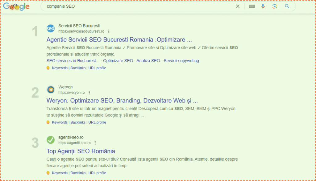 lideri în industria SEO