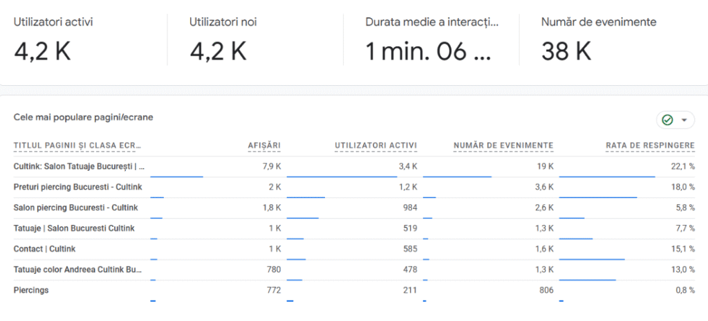 Nu Toți Clienții sunt Egali. Iată de ce cel Venit din Google Valorează de 10 ori Mai Mult. 5 Extras Google Analytics numarul de utilizatori noi