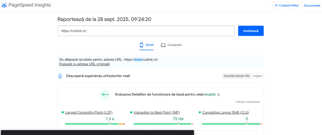 Audit tehnic complet 