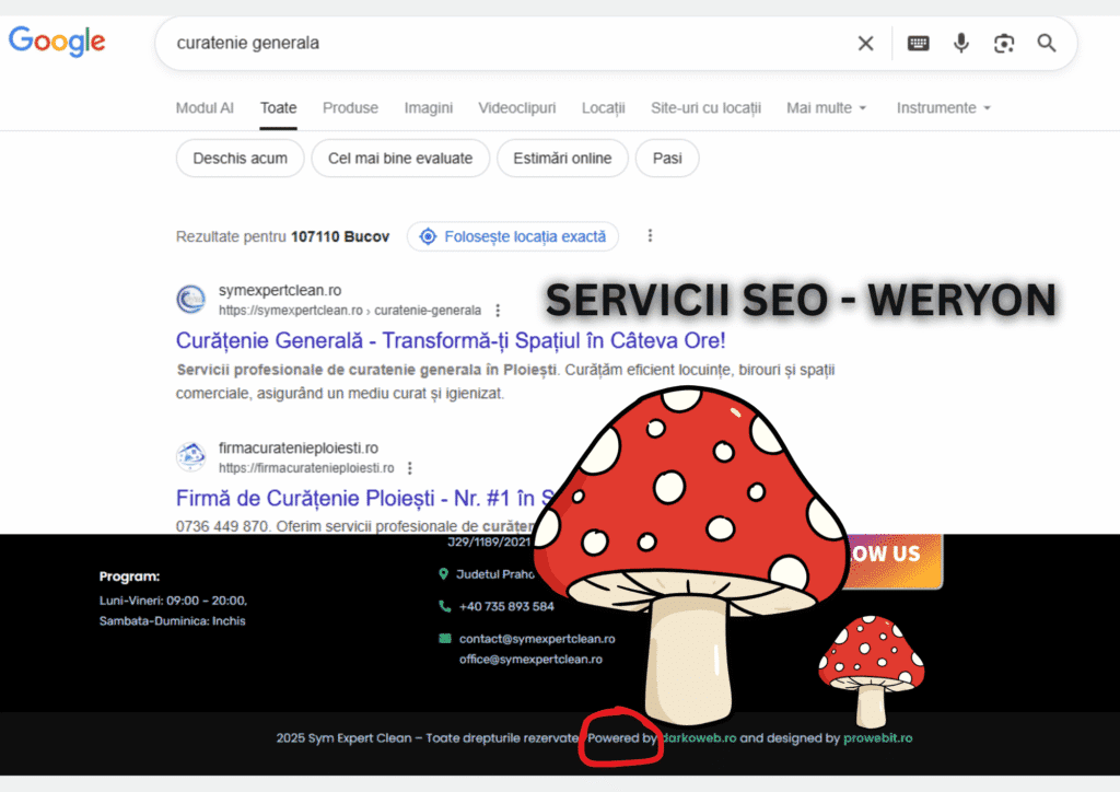 vizibilitate crescută în Google