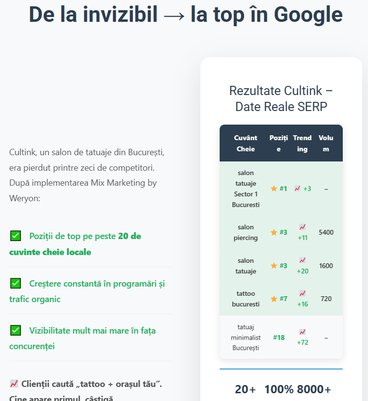 Studiu de Caz SEO Weryon