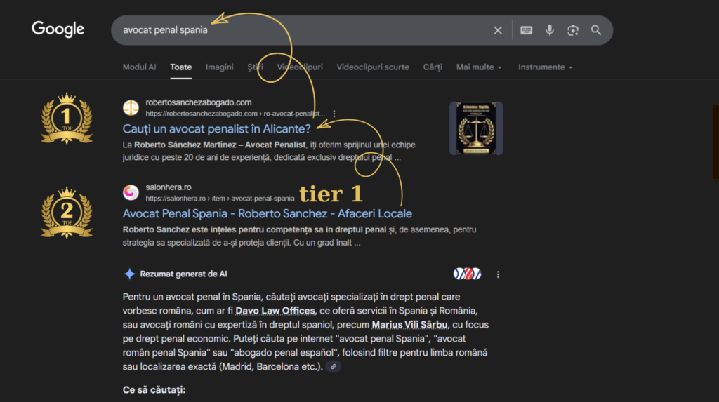 Vizibilitate maximă în Google