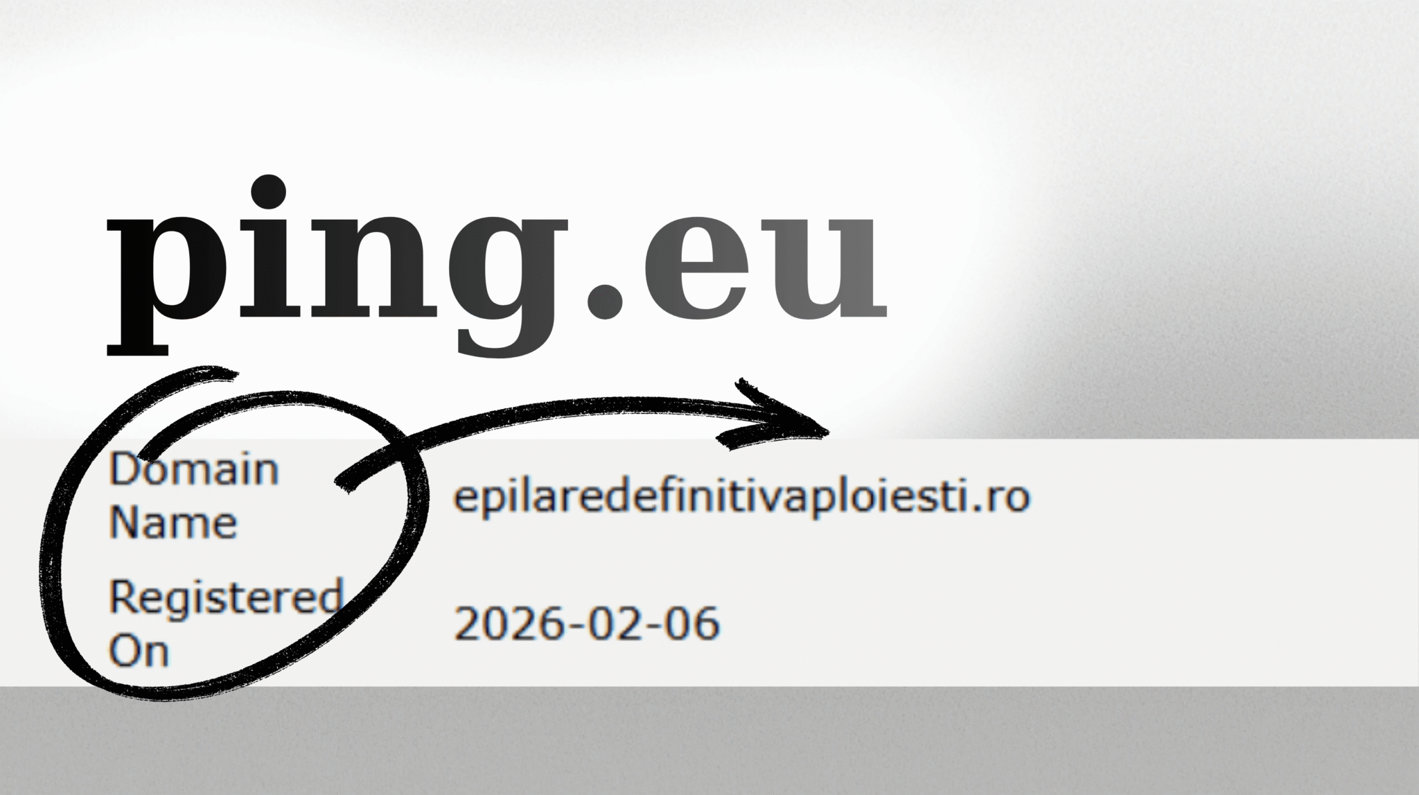 ping.eu data cumpararii