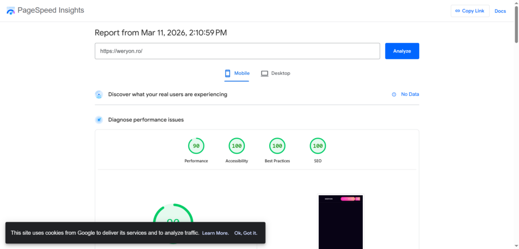 audit page speed www.weryon.ro la data 03.11.2026