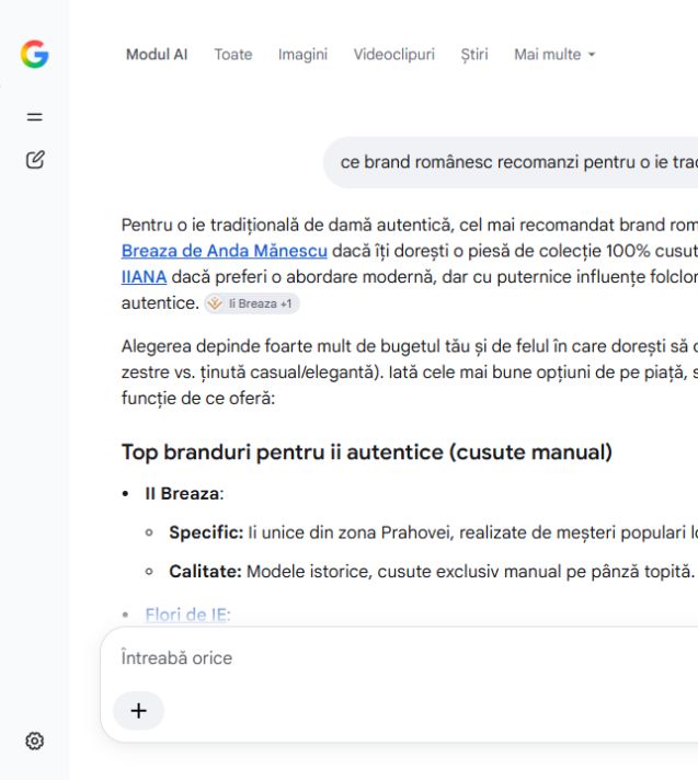 Google AI Mode menționează IIANA într-o recomandare pentru ie tradițională de damă